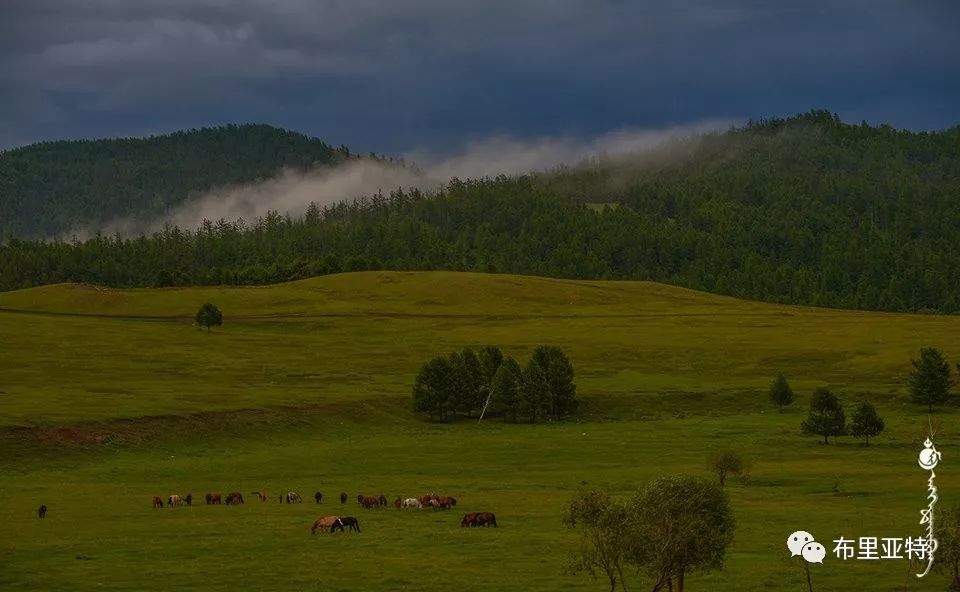 到了蒙古草原上，本身就活成了诗 第67张