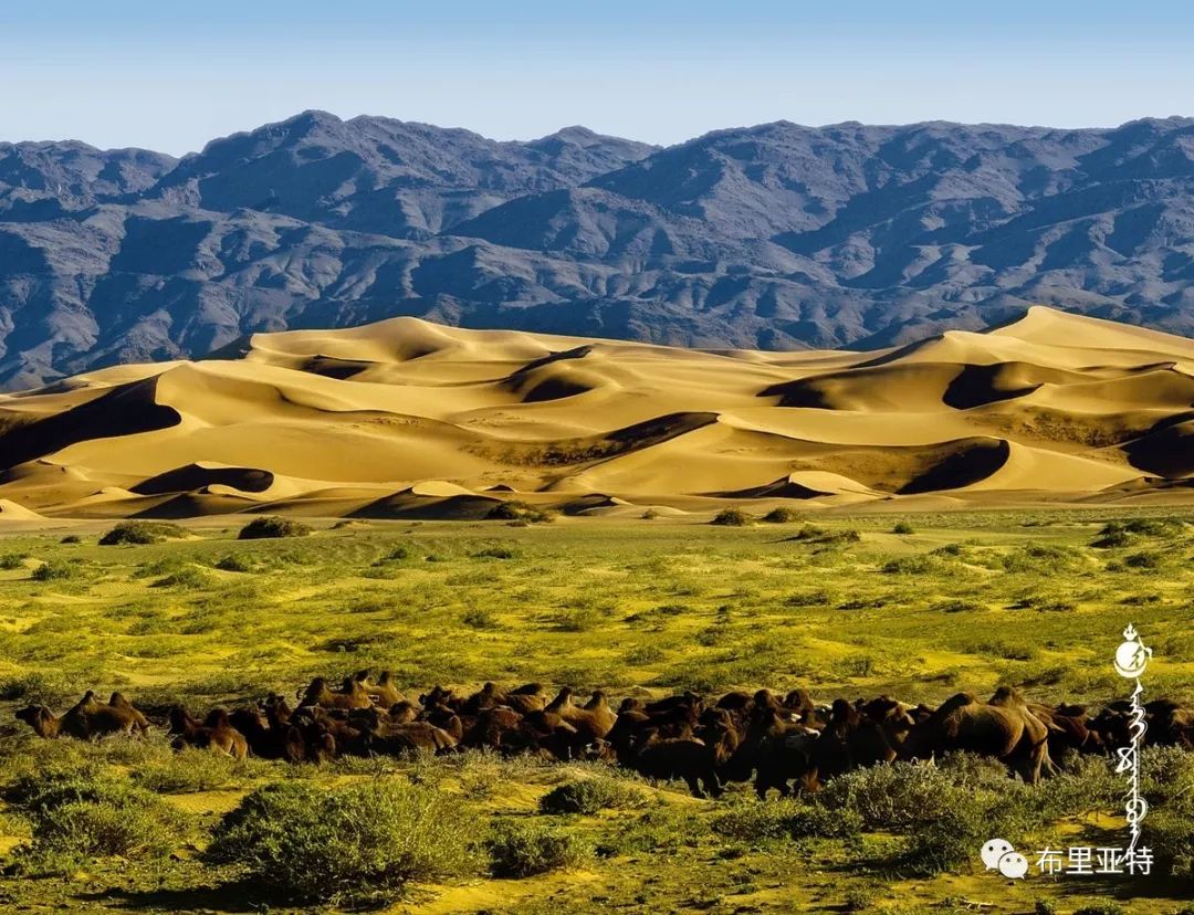 到了蒙古草原上，本身就活成了诗 第69张