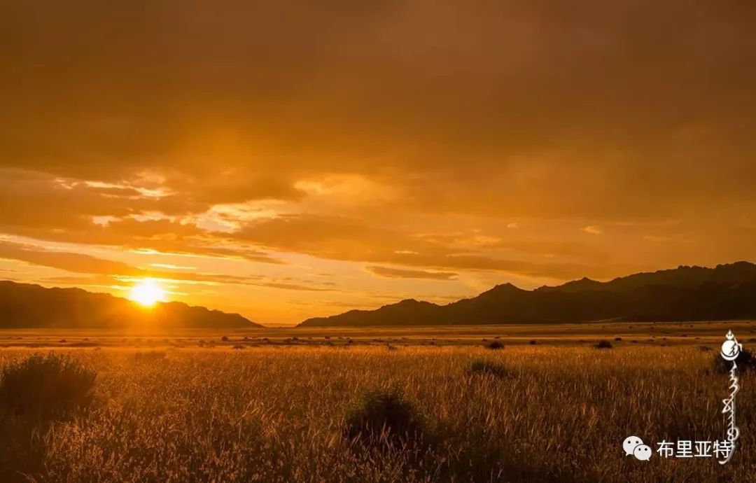 到了蒙古草原上，本身就活成了诗 第72张