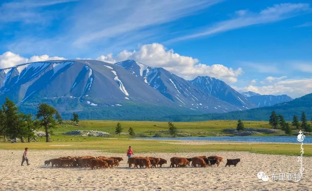 到了蒙古草原上，本身就活成了诗 第74张