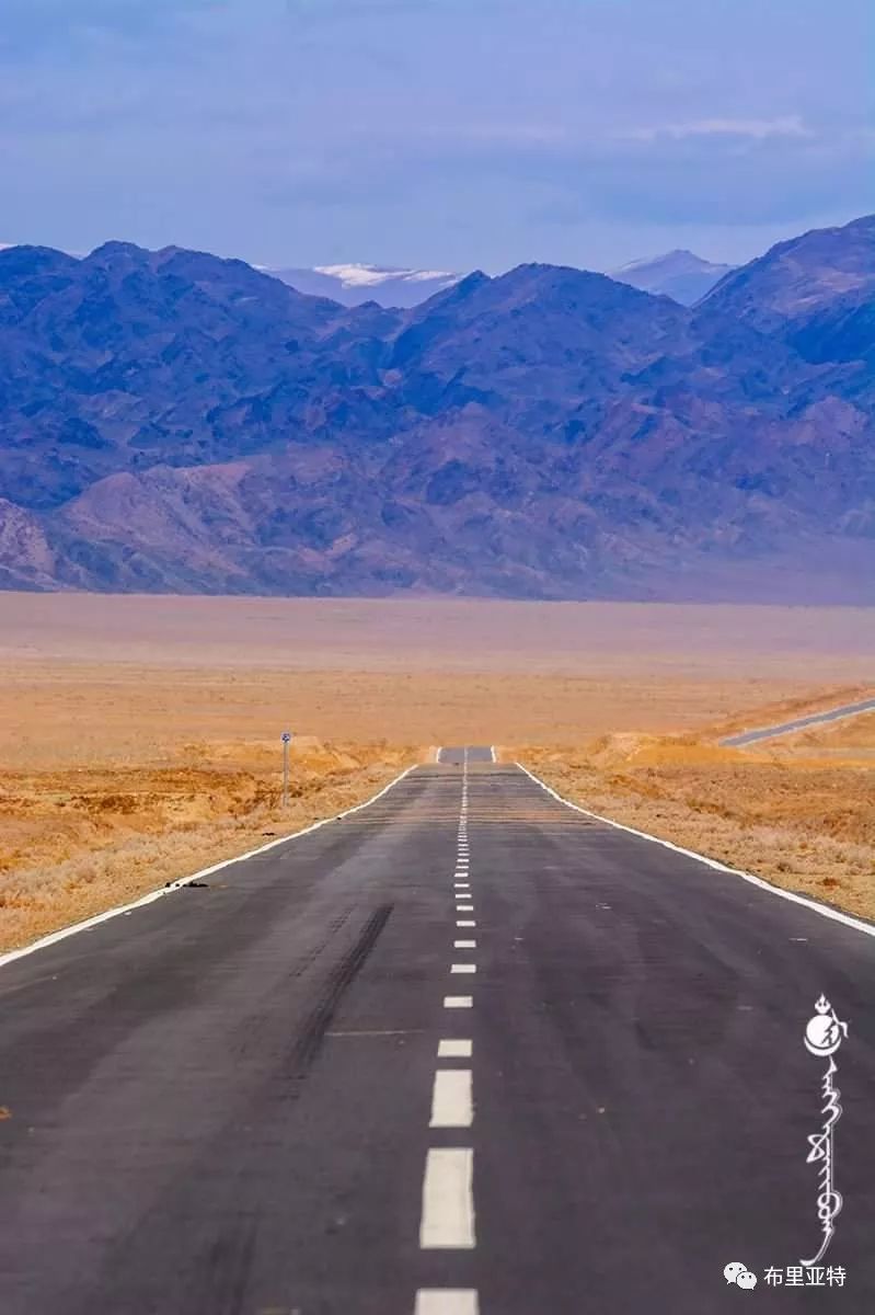 到了蒙古草原上，本身就活成了诗 第76张
