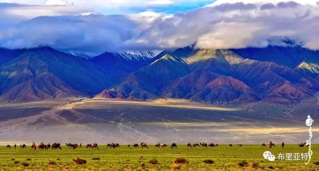 到了蒙古草原上，本身就活成了诗 第75张