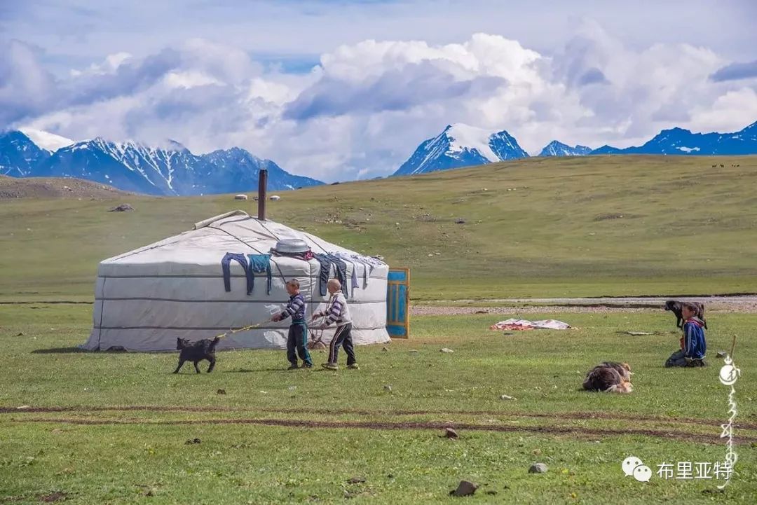 到了蒙古草原上，本身就活成了诗 第79张