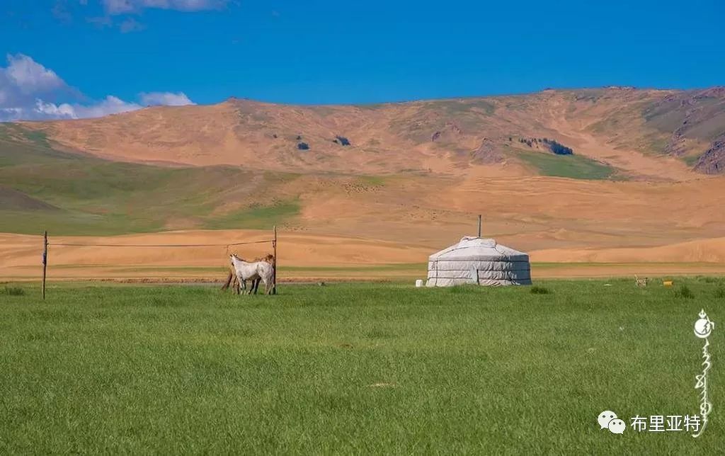 到了蒙古草原上，本身就活成了诗 第80张