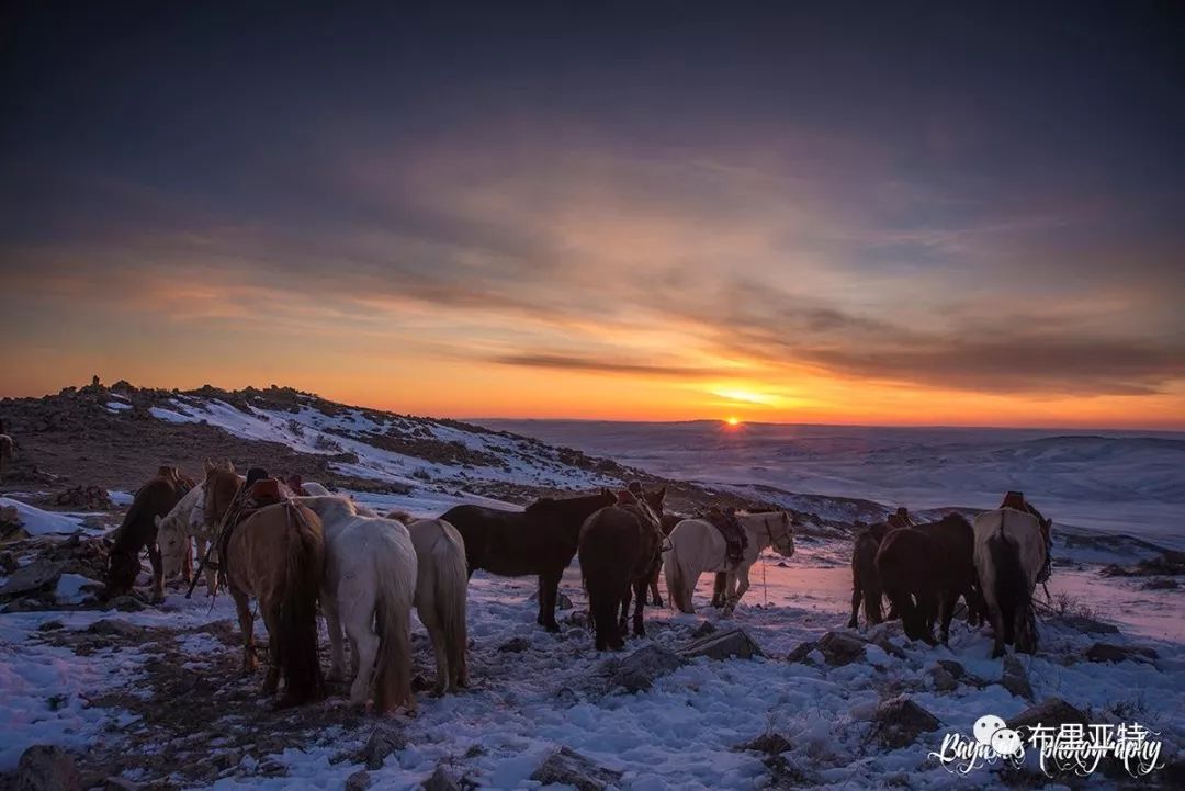 到了蒙古草原上，本身就活成了诗 第85张