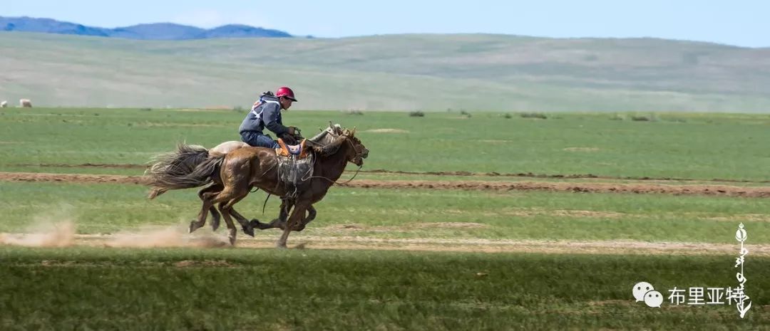 到了蒙古草原上，本身就活成了诗 第87张