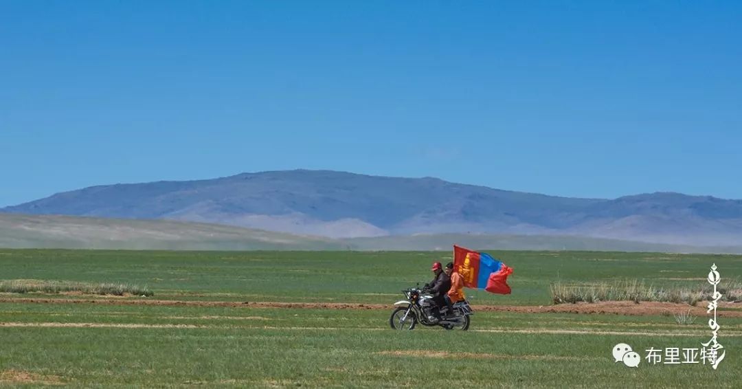 到了蒙古草原上，本身就活成了诗 第86张