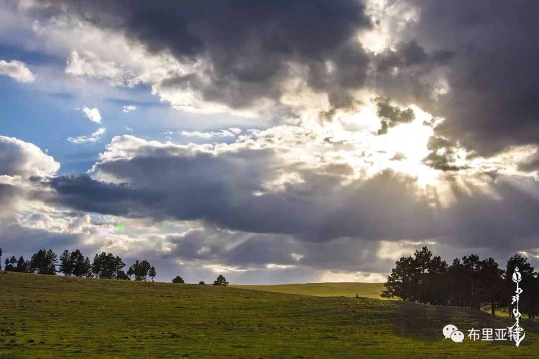 到了蒙古草原上，本身就活成了诗 第90张