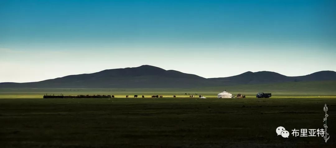 到了蒙古草原上，本身就活成了诗 第91张