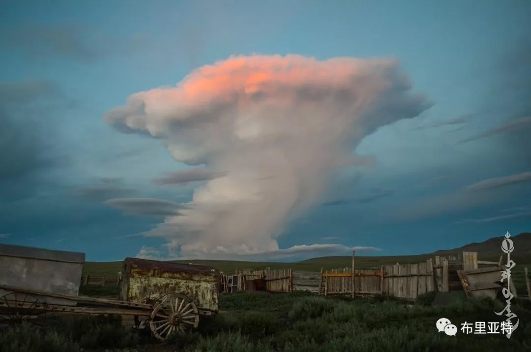 到了蒙古草原上，本身就活成了诗 第94张