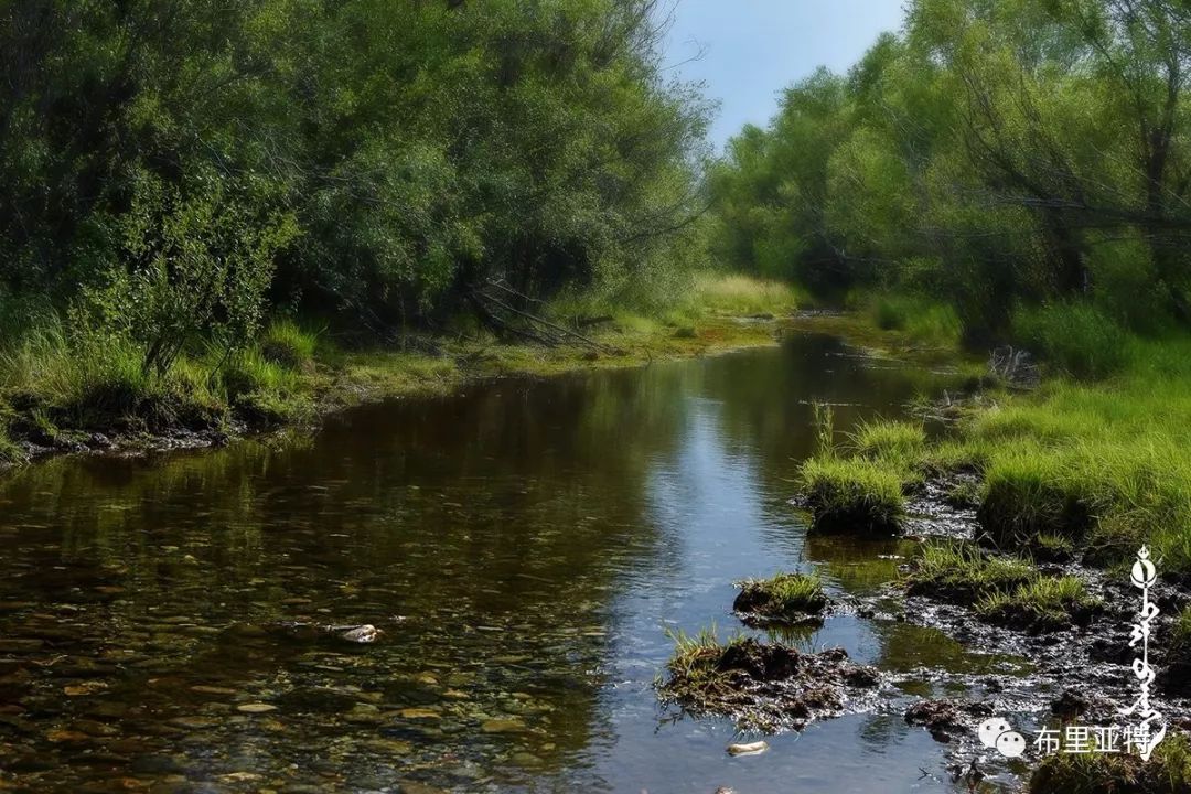 到了蒙古草原上，本身就活成了诗 第98张