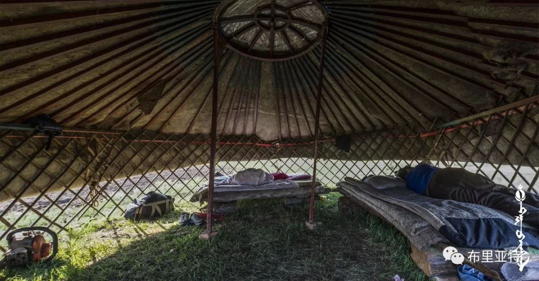 到了蒙古草原上，本身就活成了诗 第100张