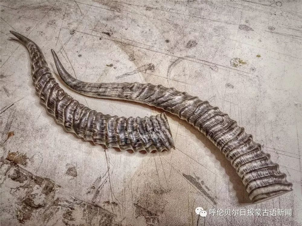 不愧是工匠世家,他们的作品美到令人窒息! 第39张 不愧是工匠世家,他们的作品美到令人窒息! 第39张