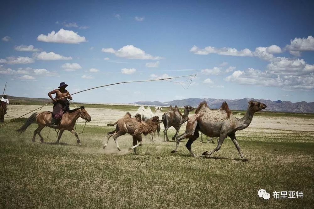 德国女摄影师埃斯特·哈泽拍摄的蒙古风作品 第27张