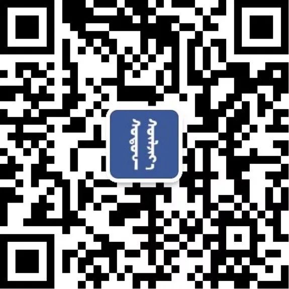 HongorGoyol 银饰天然珊瑚松石系列，传统游牧民族首饰 第2张