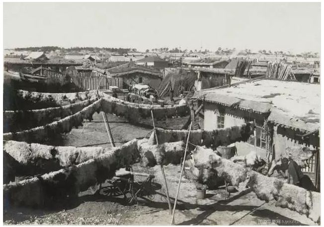 民国老照片 | 1925 — 1935年的内蒙古呼伦贝尔 第31张 民国老照片 | 1925 — 1935年的内蒙古呼伦贝尔 第31张