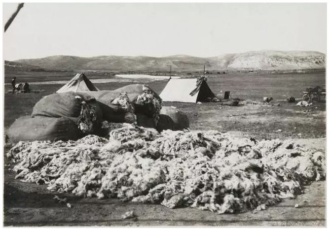 民国老照片 | 1925 — 1935年的内蒙古呼伦贝尔 第47张 民国老照片 | 1925 — 1935年的内蒙古呼伦贝尔 第47张