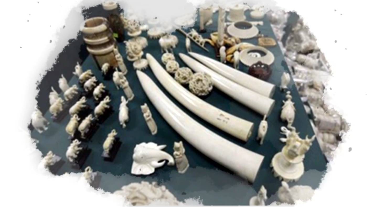 【CNTV视频】《物美蒙古》-蒙古族骨雕艺术 第4张 【CNTV视频】《物美蒙古》-蒙古族骨雕艺术 第4张