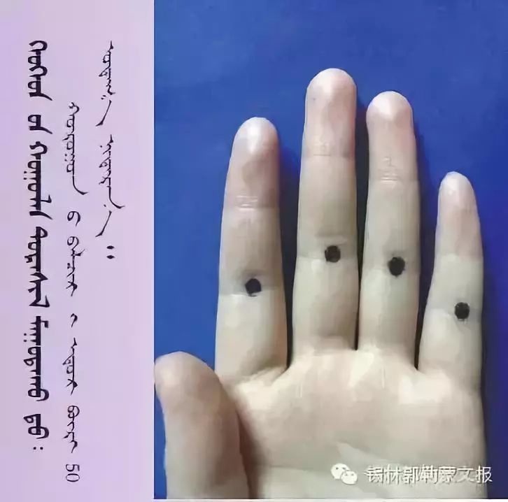 神奇的蒙古医学传统推拿按摩术(蒙古文) 第3张 神奇的蒙古医学传统推拿按摩术(蒙古文) 第3张