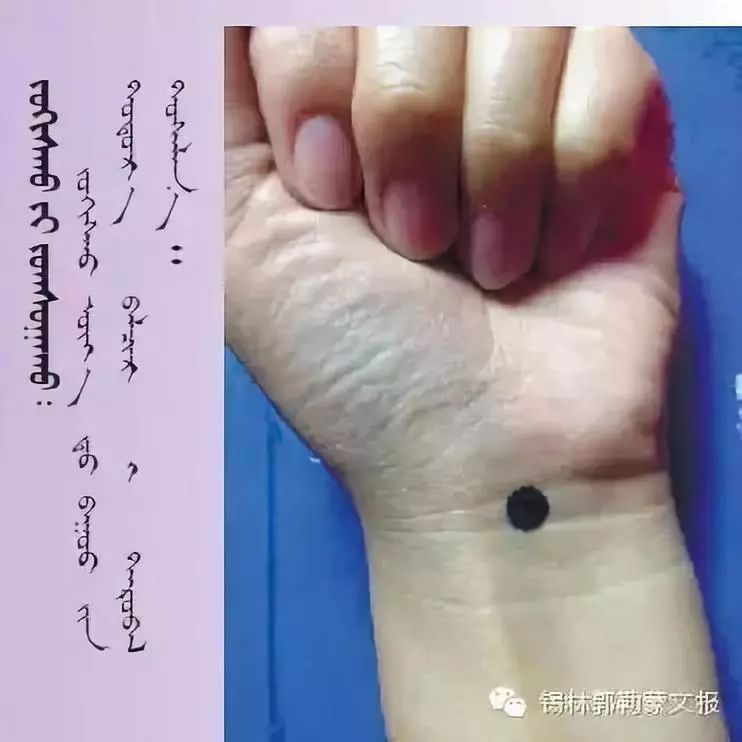 神奇的蒙古医学传统推拿按摩术(蒙古文) 第2张 神奇的蒙古医学传统推拿按摩术(蒙古文) 第2张