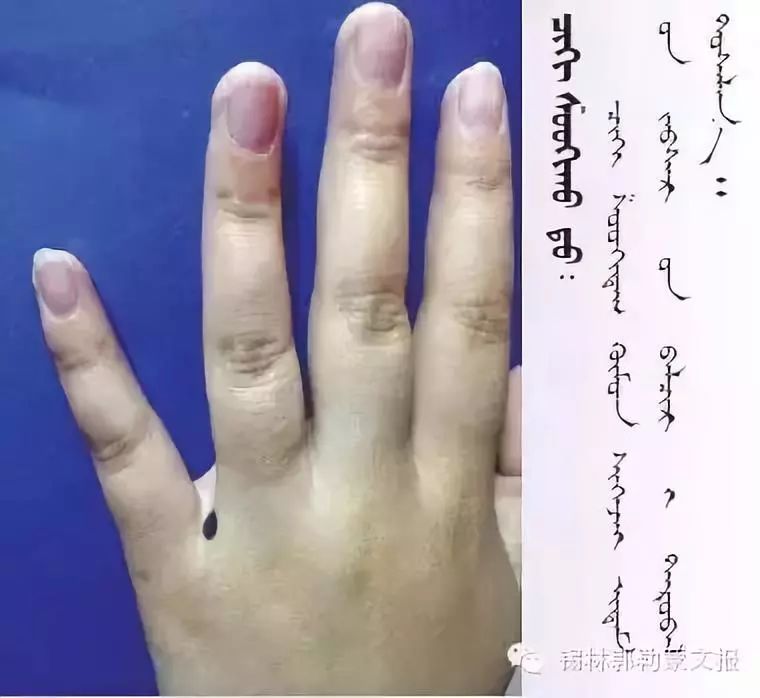 神奇的蒙古医学传统推拿按摩术(蒙古文) 第4张 神奇的蒙古医学传统推拿按摩术(蒙古文) 第4张