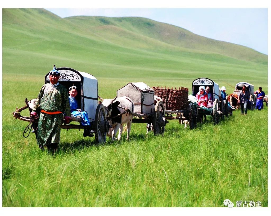 【蒙古影像】带你了解蒙古人的游牧生活