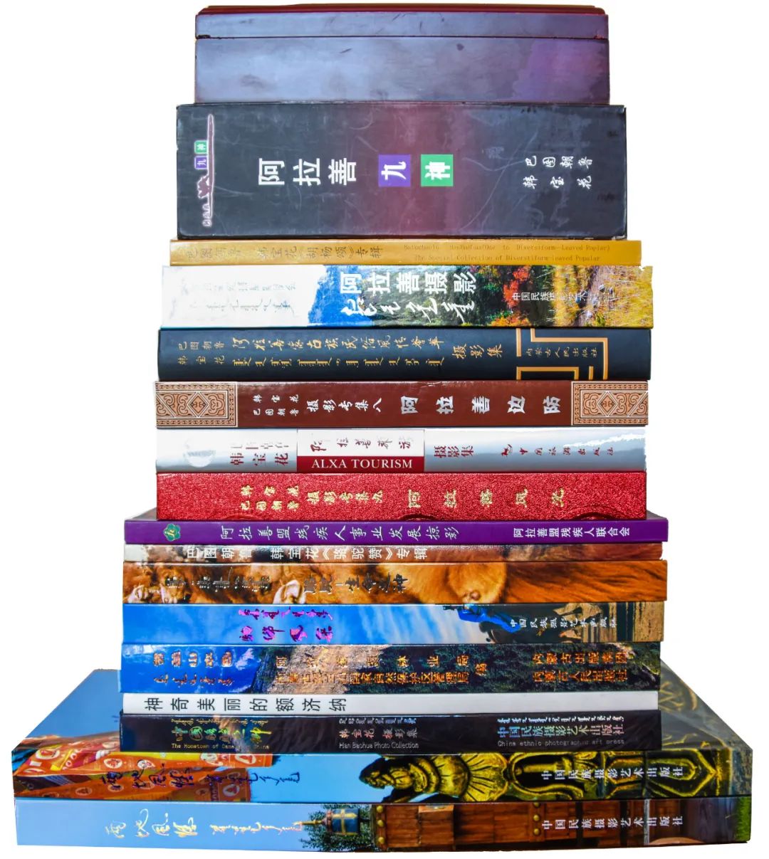 追光录影20载 沙海边陲护驼人 第2张 追光录影20载 沙海边陲护驼人 第2张 追光录影20载 沙海边陲护驼人 蒙古文化