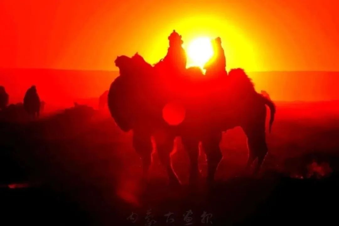 追光录影20载 沙海边陲护驼人 第3张 追光录影20载 沙海边陲护驼人 第3张 追光录影20载 沙海边陲护驼人 蒙古文化