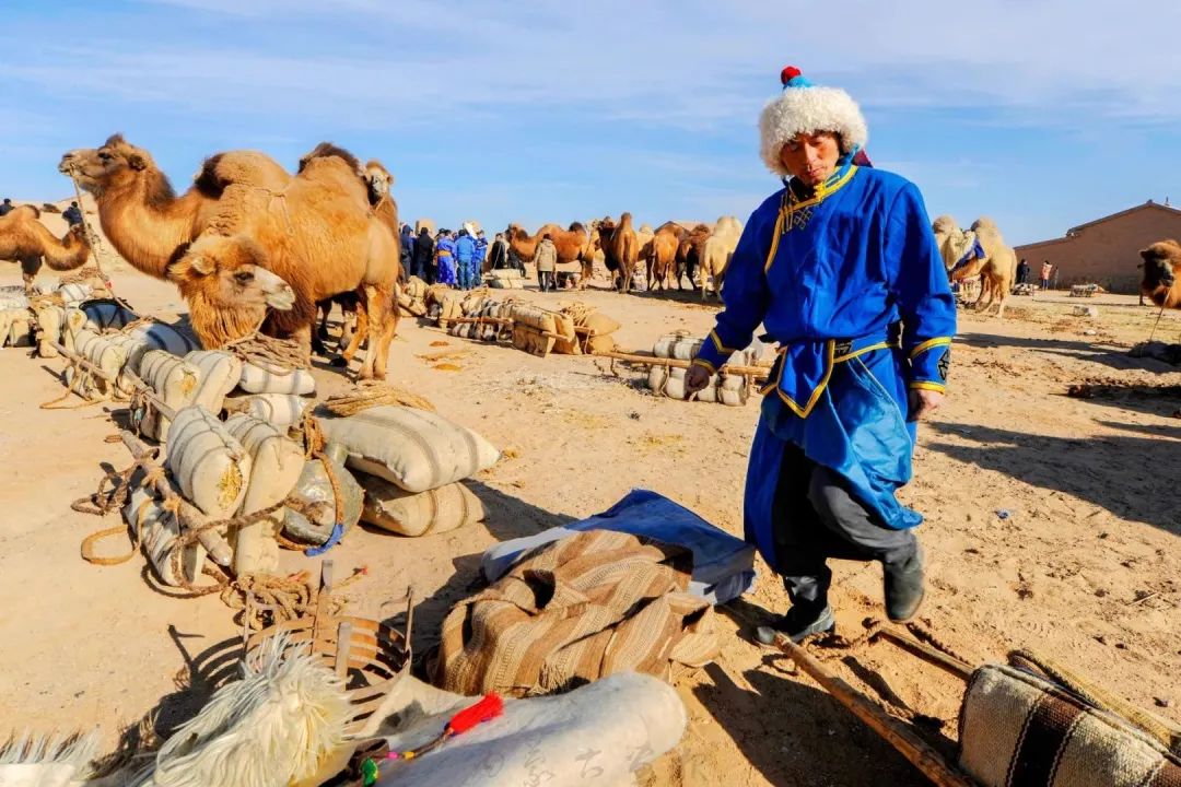 追光录影20载 沙海边陲护驼人 第12张 追光录影20载 沙海边陲护驼人 第12张 追光录影20载 沙海边陲护驼人 蒙古文化