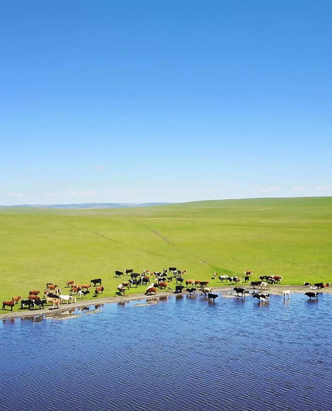 全民摄影原创图集 蒙古包与大草原 摄于上都蓝旗蒙青部落营地|蒙古包|蓝旗|大草原_新浪新闻