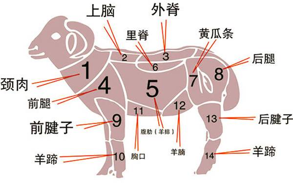 【草原美食】在内蒙古，这么多种羊肉的吃法！快来看看土右旗没有哪种？