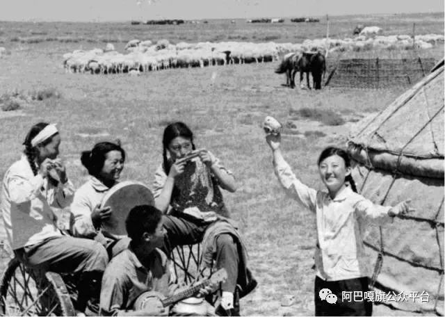 【曾经的阿巴嘎旗人】小草的闪回
