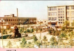 爱我东胜之老照片（三）
