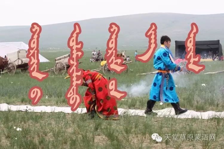 这就是科尔沁蒙古族传统婚姻习俗！（蒙古文）