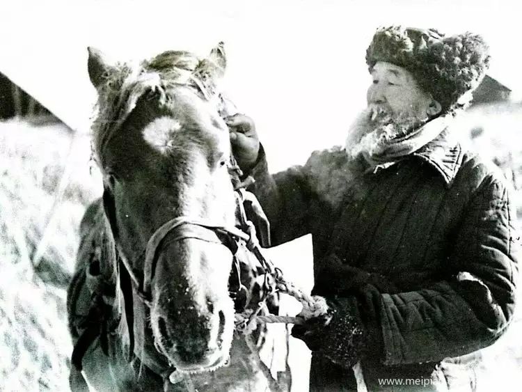 【见证70年】额尔古纳的时代变迁(二)