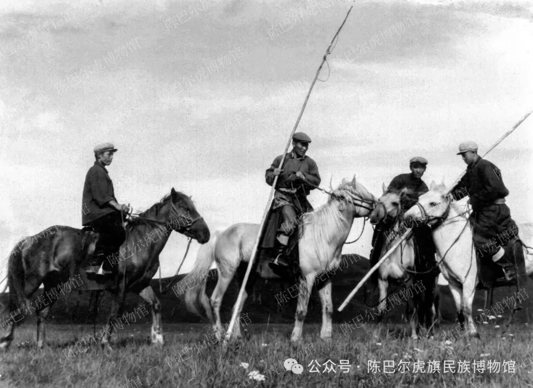陈巴尔虎往事（第八期）——解读老照片 莫尔格勒河畔的牧马人