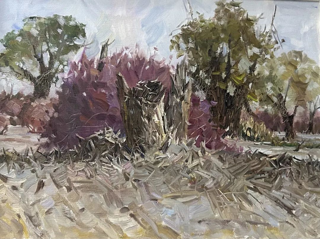 106.孟克巴依尔《红柳》60x80cm 2020年.jpg