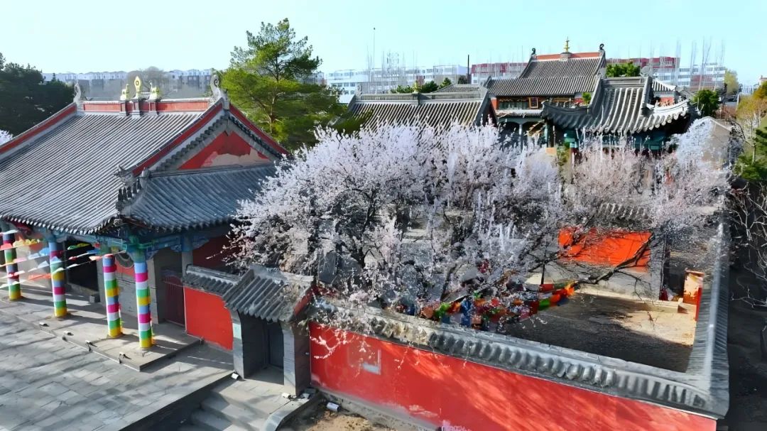 库伦公安简史