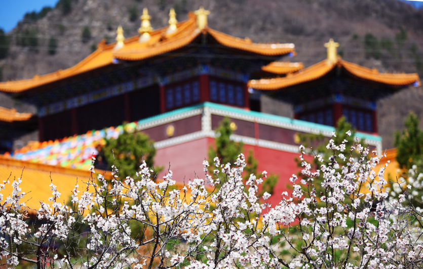 【文物拾珍】信众圣地　璀璨生辉——赤峰佛教寺庙撷影（一）