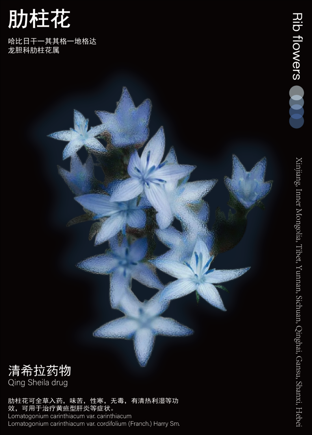 A_画板 1-01.png