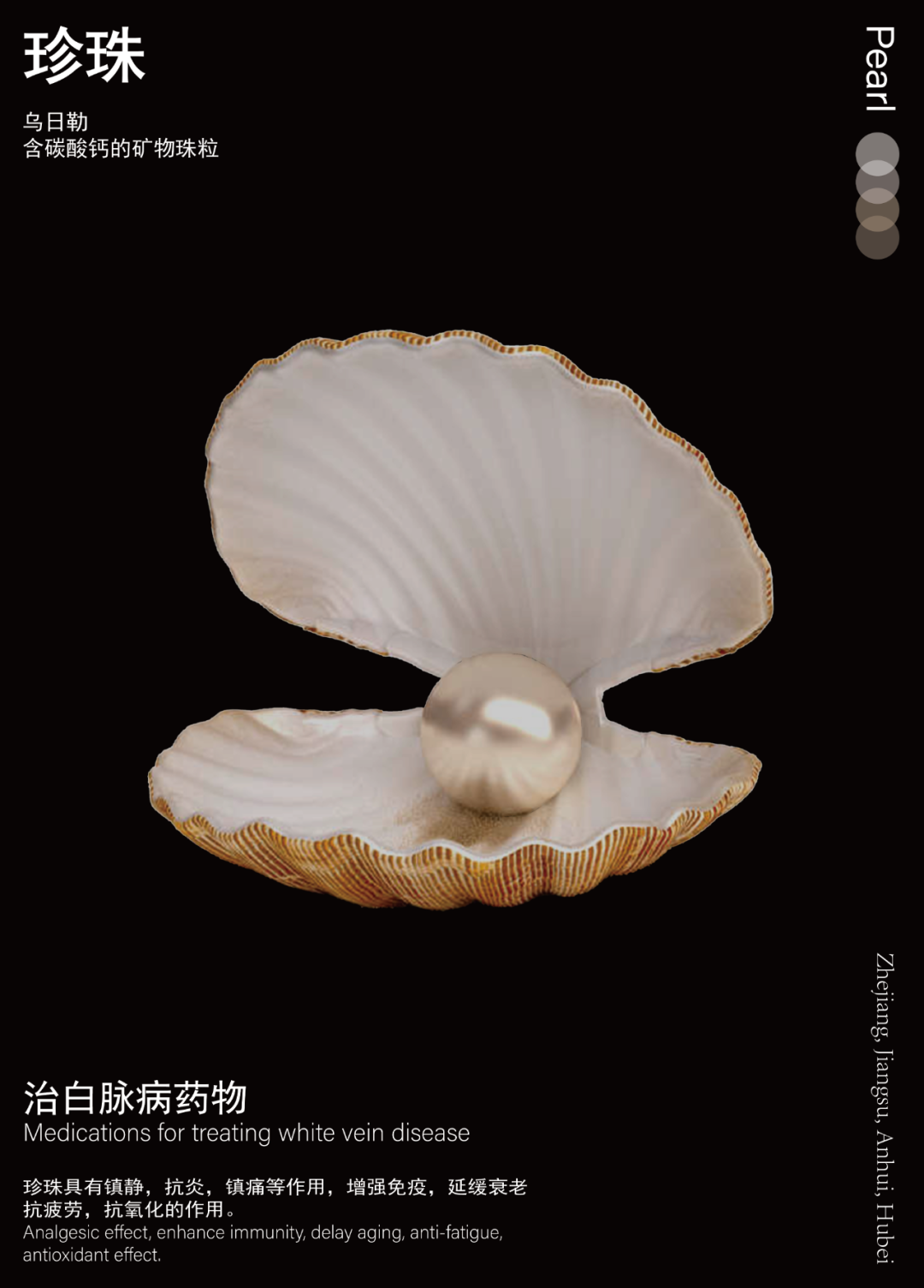珍珠_画板 1.png