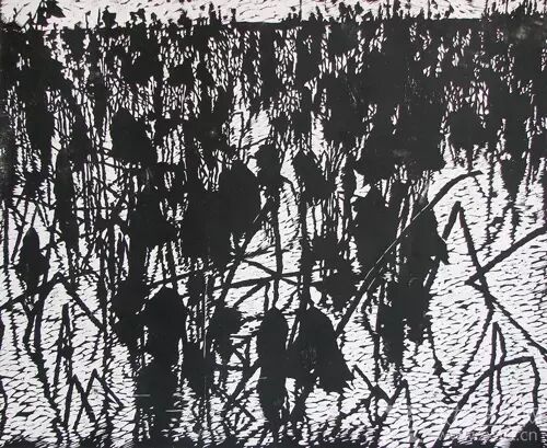 《晚霞中的落荷》木刻版画 2006年